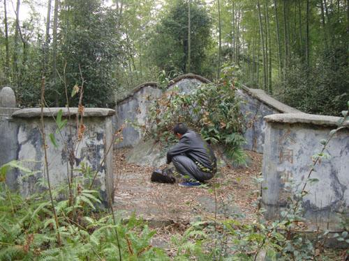 ***案例（十一）